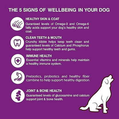 Bairo Chicken and Vegetable Adult Dog Food 3 Kg Pack Dry Dog Food, Complete and Balanced Nutrition for Adult Dogs, Protein and Essential Nutrients