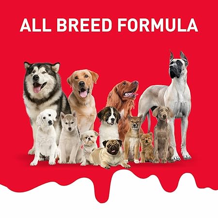 Drools Absolute Dog Bone Treats, Milk Flavour 600g 40peices Jar, All Life Stages