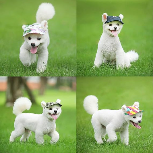 Pet Hats