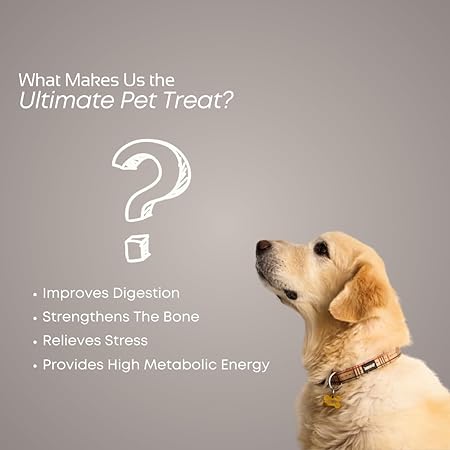 SmartDog Smartstix Chewy Meat Sticks, 85g - High Protein Dog Treats, Real Chicken, 2 Flavors, Ziplock Pack