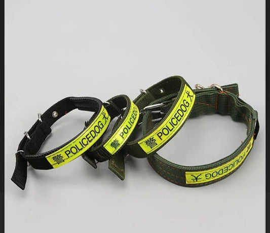 Police Collar Large Size
