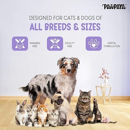 Ear Wipes for Dogs & Cats | Aloe Vera, Vitamin E & Eucalyptus Formula | Hypoallergenic, Alcohol-Free, 25 Soft & Safe Wipes