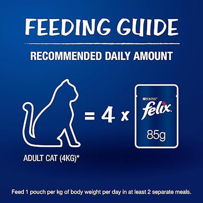 Purina Felix with Chicken in Jelly | Wet Food for Adults | Complete and Balanced Cat Food, Pack of 1 Pouches