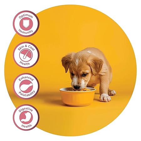 Fidele+ Dry Dog Food 1 Kg Small & Medium Breed Puppies Complete & Balanced Diet Supports Growth, Energy, Joints & Immunity No Artificial Flavours, Preservatives