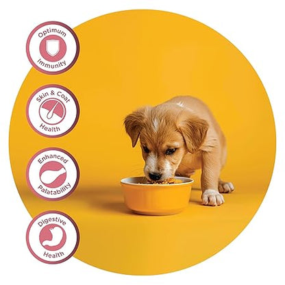 Fidele+ Dry Dog Food 3 Kg Starter Puppies Complete & Balanced Diet Supports Growth, Energy, Joints & Immunity No Artificial Flavours, Preservatives