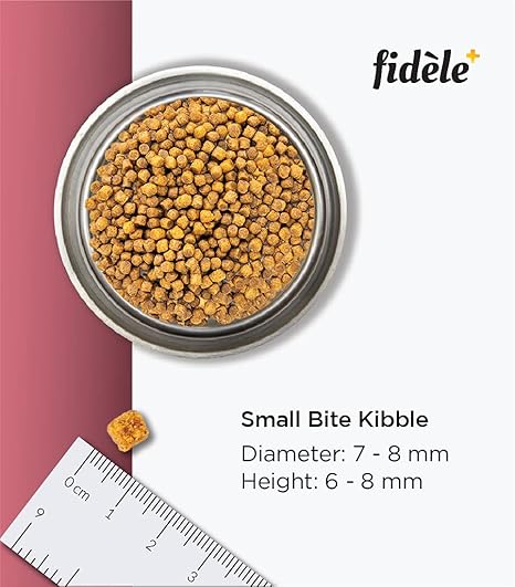 Fidele+ Dry Dog Food 1 Kg Small & Medium Breed Puppies Complete & Balanced Diet Supports Growth, Energy, Joints & Immunity No Artificial Flavours, Preservatives