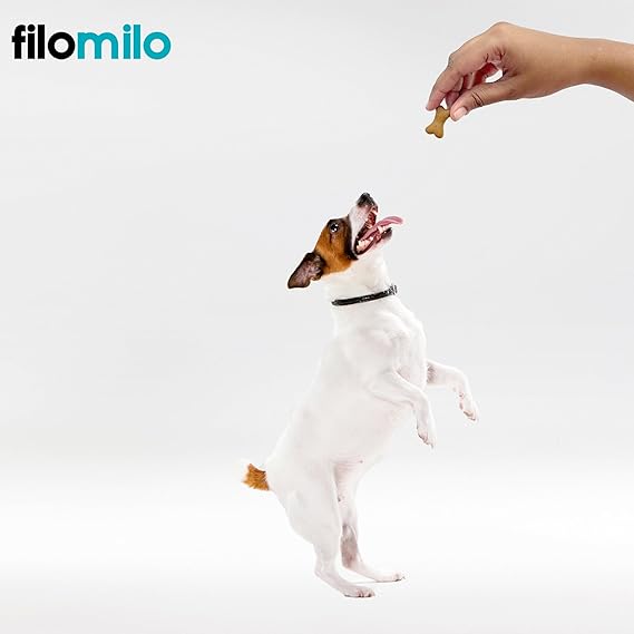 Filomilo– Real Chicken Biscuits (Treats) with Ayurvedic Brahmi Powder for All Type of Dogs (1kg - Chicken Flavour)