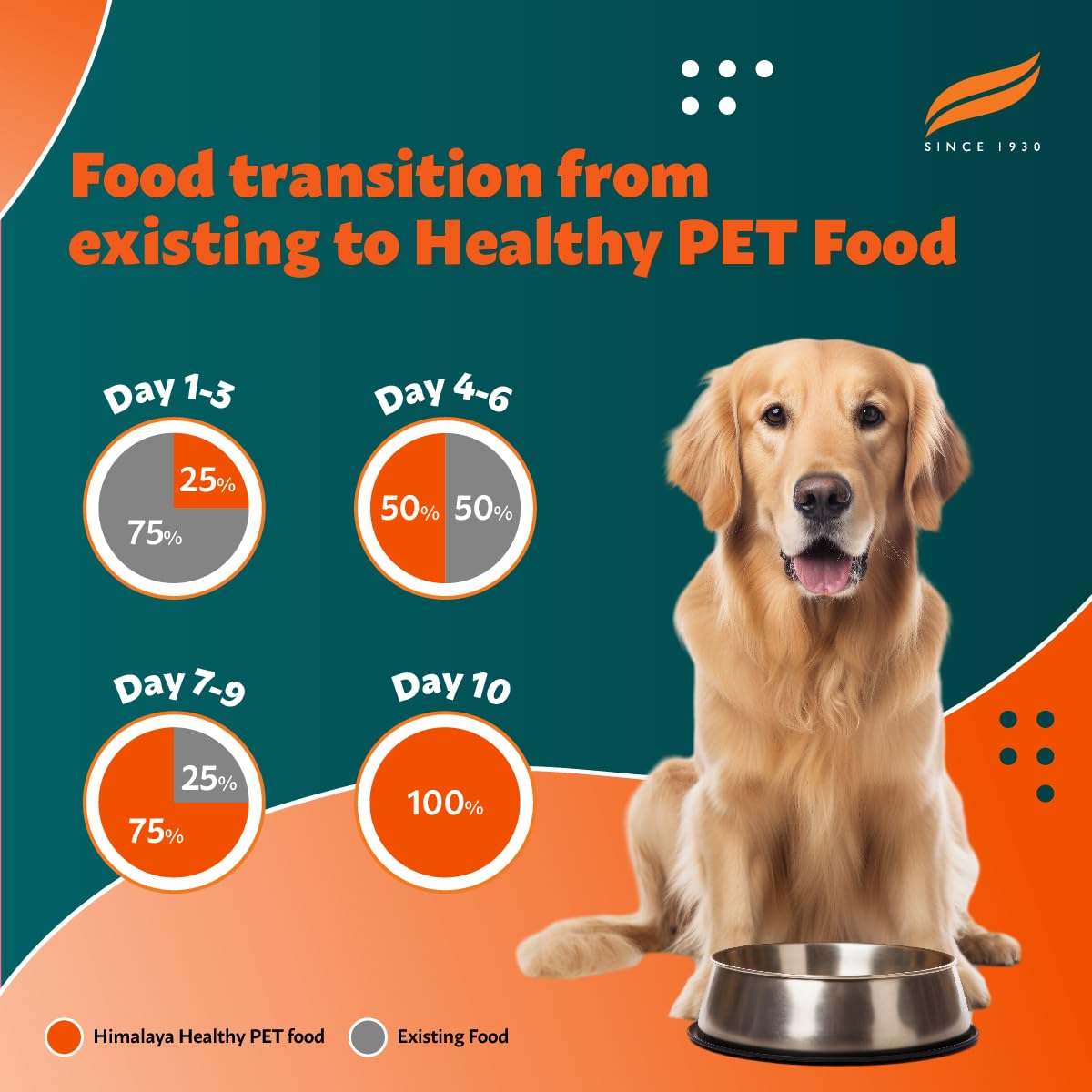 Himalaya Healthy Pet Food | Chicken & Pumpkin Flavor | For Healthy Appetite & Shiny coat |100% Complete & Balanced Food for Adult Dogs | 3 kg Pack