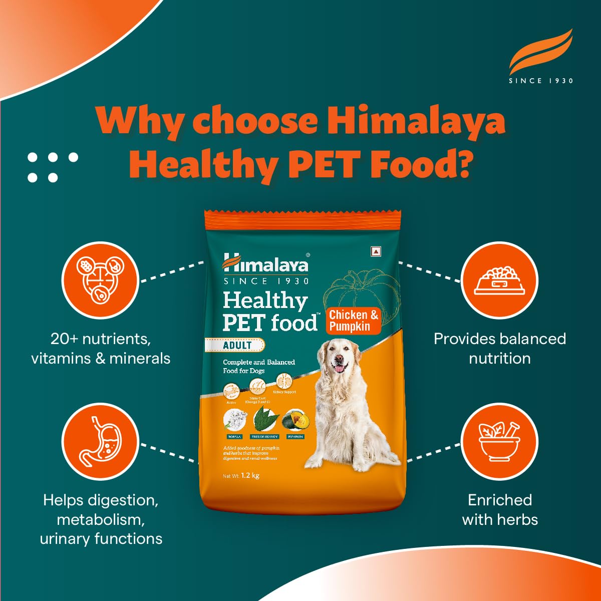 Himalaya Healthy Pet Food | Chicken & Pumpkin Flavor | For Healthy Appetite & Shiny coat |100% Complete & Balanced Food for Adult Dogs | 3 kg Pack