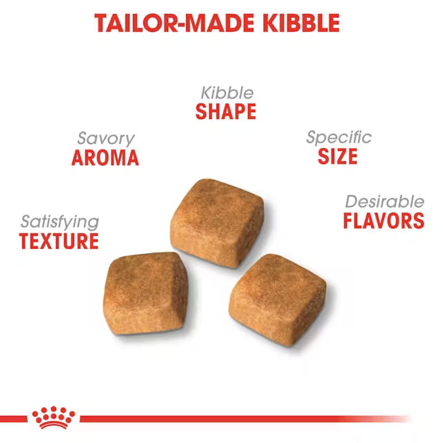 ROYAL CANINE Persian Kitten Dry Cat Food 2KG