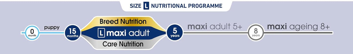 Royal Canin Maxi Adult Dog Food, 1 Kg, Dry Food, Supports Digestive Health & Optimal Health, Provides Bone & Joint Support