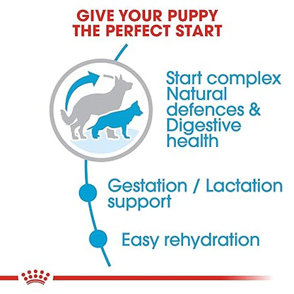 Royal Canin Maxi Starter, Mother & Babydog Food, 4 Kg, Dry Food, Supports Complex Natural Defence & digestive health, Provides Gestation/Lactation Support, Supports Easy rehydration