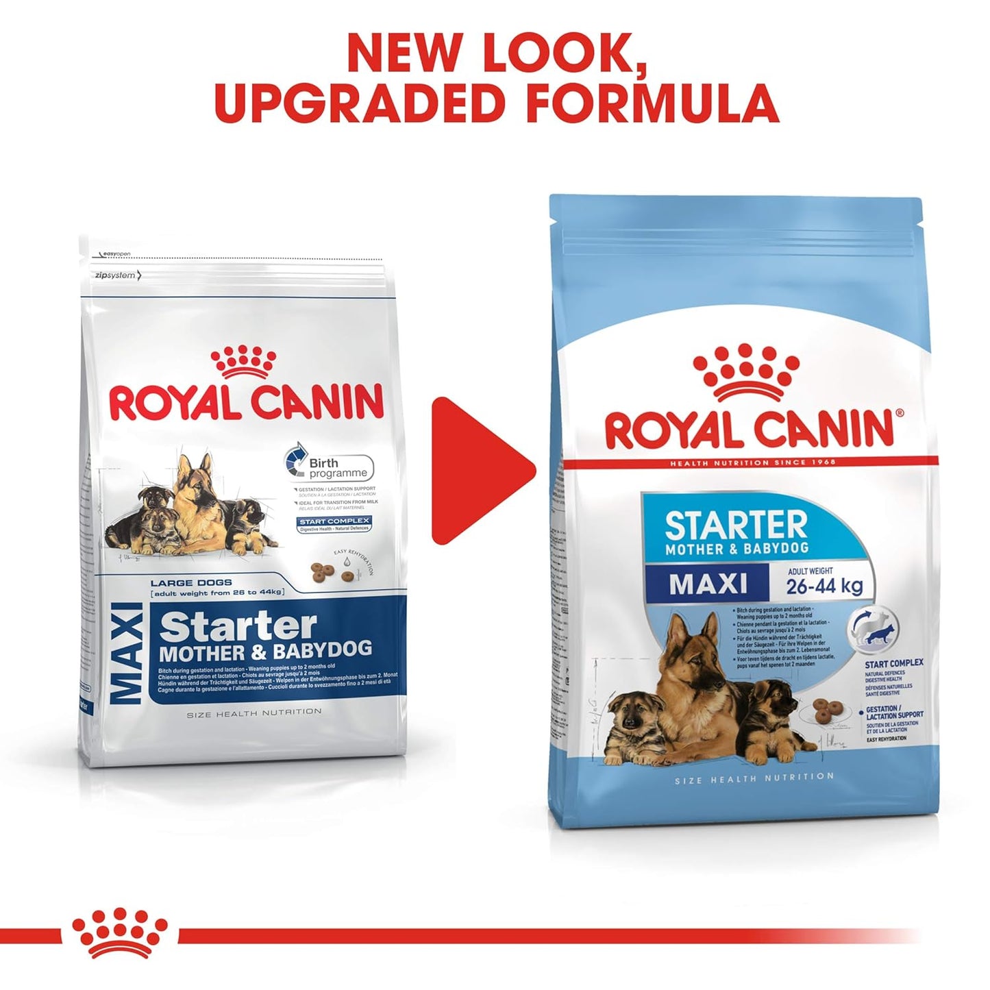 Royal Canin Maxi Starter, Mother & Babydog Food, 4 Kg, Dry Food, Supports Complex Natural Defence & digestive health, Provides Gestation/Lactation Support, Supports Easy rehydration
