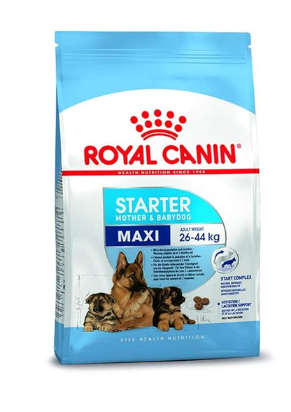 Royal Canin Maxi Starter, Mother & Babydog Food, 4 Kg, Dry Food, Supports Complex Natural Defence & digestive health, Provides Gestation/Lactation Support, Supports Easy rehydration