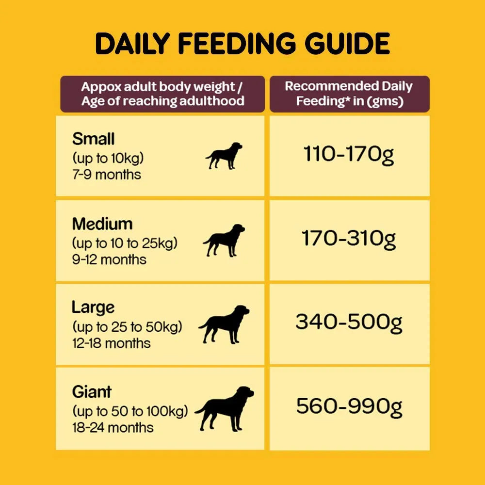 Pedigree Adult 2.8kg (Meat & Rice)