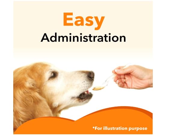 Drools Absolute Salmon Oil Syrup - Dog Supplement, 150 ml