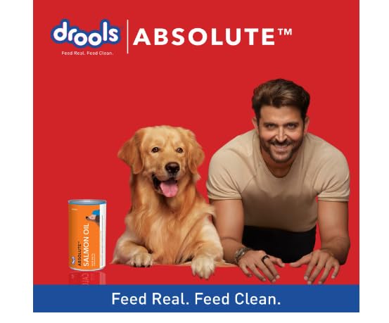Drools Absolute Salmon Oil Syrup - Dog Supplement, 150 ml
