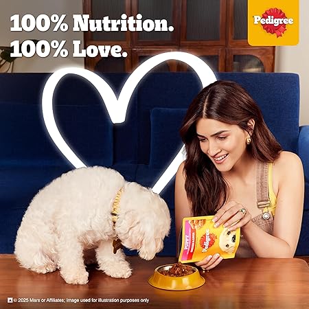 Pedigree Puppy Wet Dog Food, Chicken Chunks in Gravy, 70 g (Pack of 30), Complete & Balanced Meal for Puppies