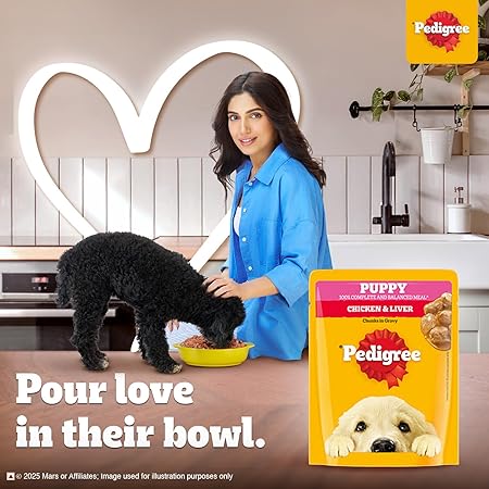 Pedigree Puppy Wet Dog Food, Chicken Chunks in Gravy, 70 g (Pack of 30), Complete & Balanced Meal for Puppies
