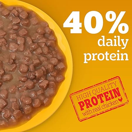 Pedigree Puppy Wet Dog Food, Chicken Chunks in Gravy, 70 g (Pack of 30), Complete & Balanced Meal for Puppies