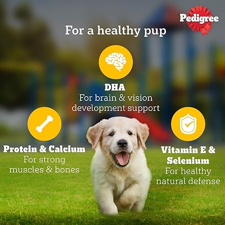 Pedigree Puppy Wet Dog Food, Chicken Chunks in Gravy, 70 g (Pack of 30), Complete & Balanced Meal for Puppies