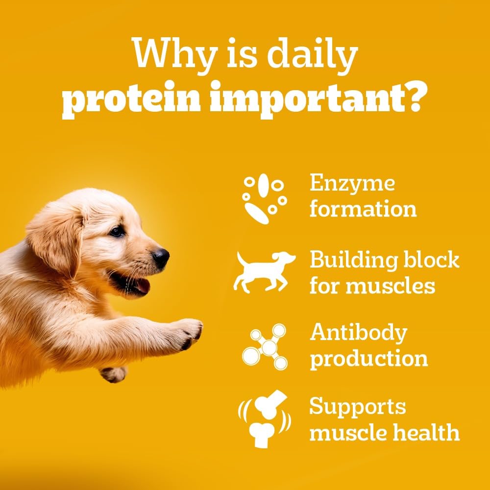 Pedigree Puppy Wet Dog Food, Chicken Chunks in Gravy, 70 g (Pack of 30), Complete & Balanced Meal for Puppies