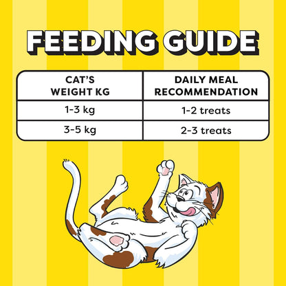 Temptations Creamy Purrrrr-ée Lickable Cat Treats, Chicken & Tuna Flavour, 48 g, Made with Real Fish, Goodness of Protein, Vitamins & Minerals