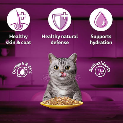 Whiskas Adult (1+ Years) Wet Cat Food, Chicken in Gravy, 80 g, Hydrating Food Made With Real Chicken, 100% Complete & Balanced Nutrition for Adult Cats