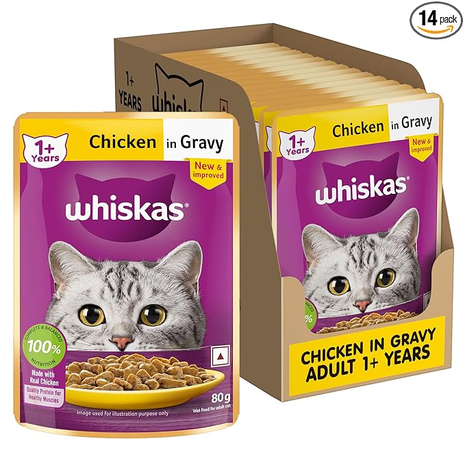 Whiskas Adult (1+ Years) Wet Cat Food, Chicken in Gravy, 80 g (Pack of 14), Hydrating Food Made With Real Chicken, 100% Complete & Balanced Nutrition for Adult Cats