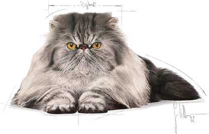ROYAL CANIN Cat Food Adult Persian 1 kg