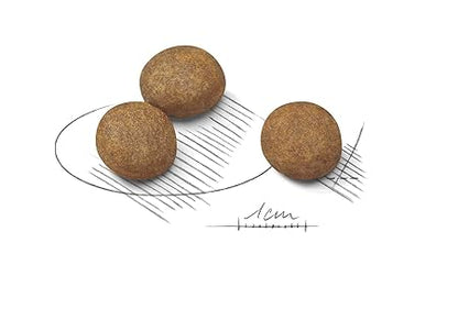 Royal Canin Maxi Puppy Food, 4 Kg, Dry Food, Supports Immune System & digestive health, Provides Long growth, moderate energy