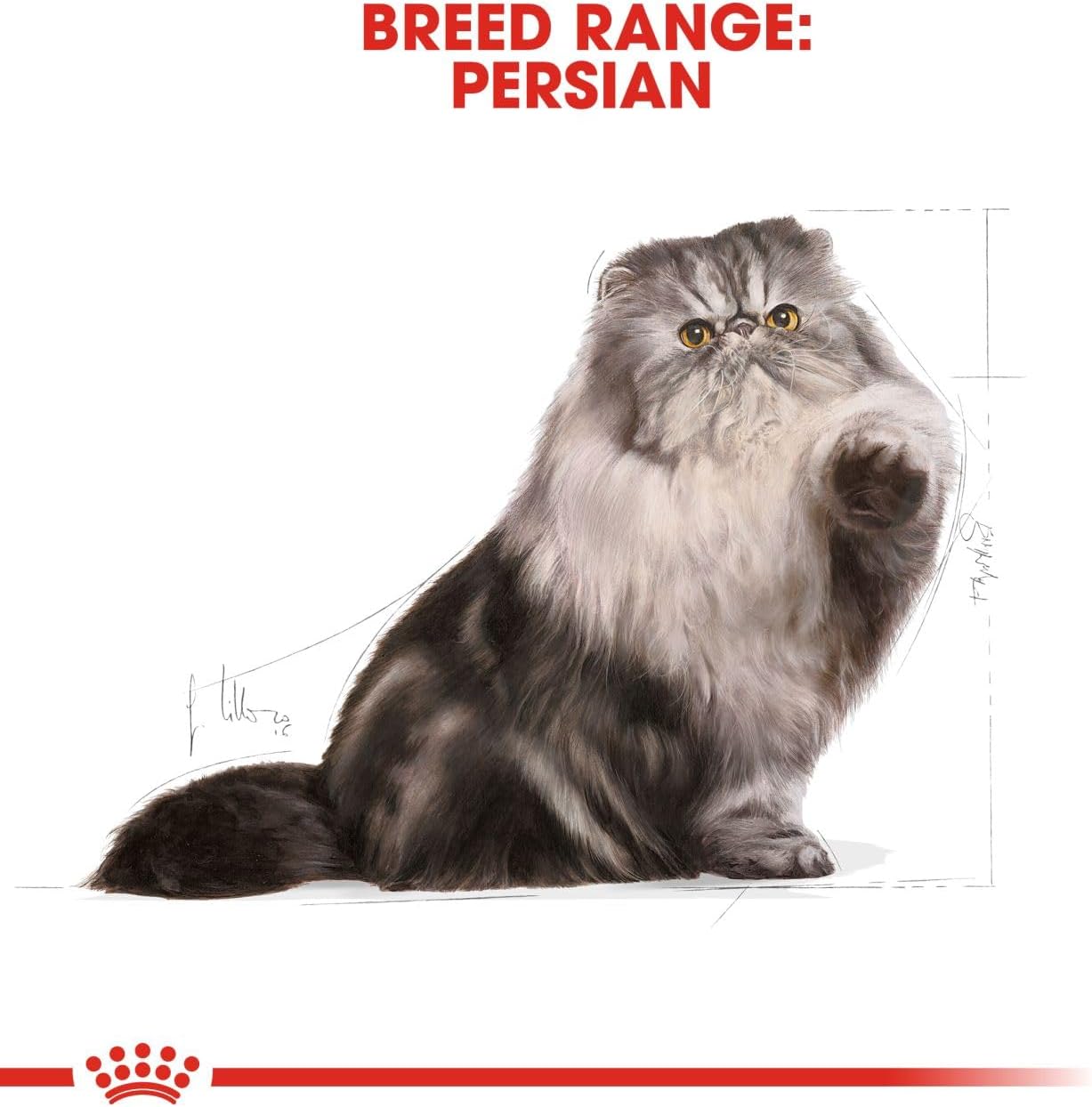 ROYAL CANIN Cat Food Adult Persian 2 kg
