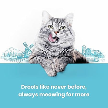 Cat fest Pillows Shrimp Creamy Filling, Cat Treats 100% Natural|0% Artificial Flavor, Color or Preservative |for All Cat & Kitten Breeds