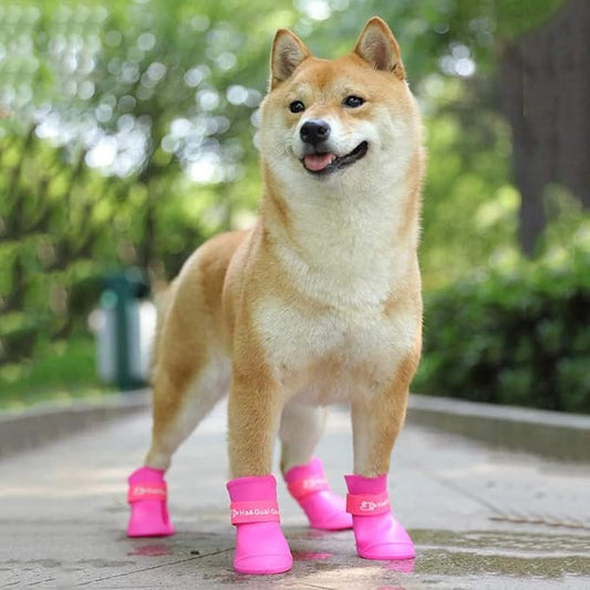 Pet Shoes Medium Size