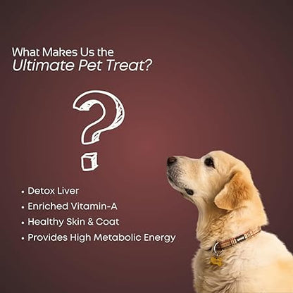 SmartDog Smartstix 85g, Chewy Meat Sticks for Adult Dogs and Puppies, High Protein Dog Treats for Training and Snacks, Made of Real Chicken Meat, Ziplock Pack, Chicken & Pomegranate (Pack of 1)