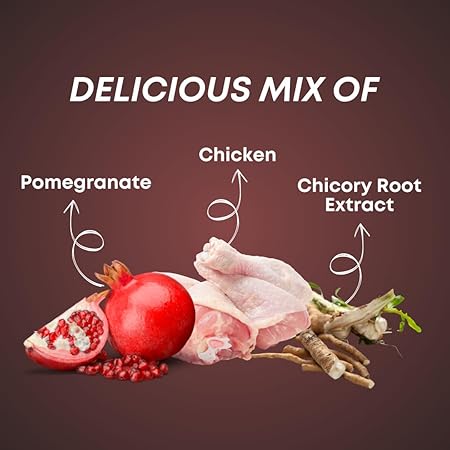 SmartDog Smartstix 85g, Chewy Meat Sticks for Adult Dogs and Puppies, High Protein Dog Treats for Training and Snacks, Made of Real Chicken Meat, Ziplock Pack, Chicken & Pomegranate (Pack of 1)