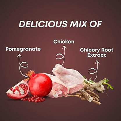 SmartDog Smartstix 85g, Chewy Meat Sticks for Adult Dogs and Puppies, High Protein Dog Treats for Training and Snacks, Made of Real Chicken Meat, Ziplock Pack, Chicken & Pomegranate (Pack of 1)