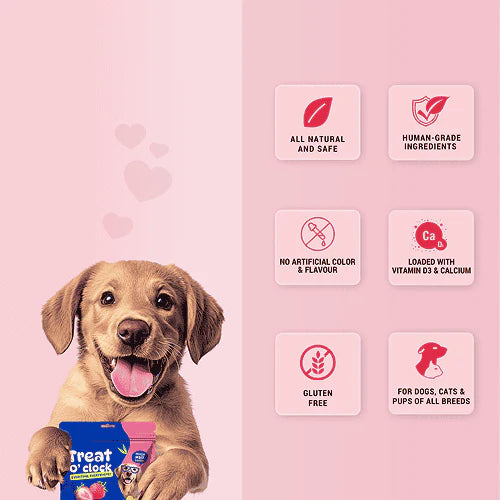 Natural Remedies Treat O'Clock Strawberry with Chicken Meat Treats for Dogs