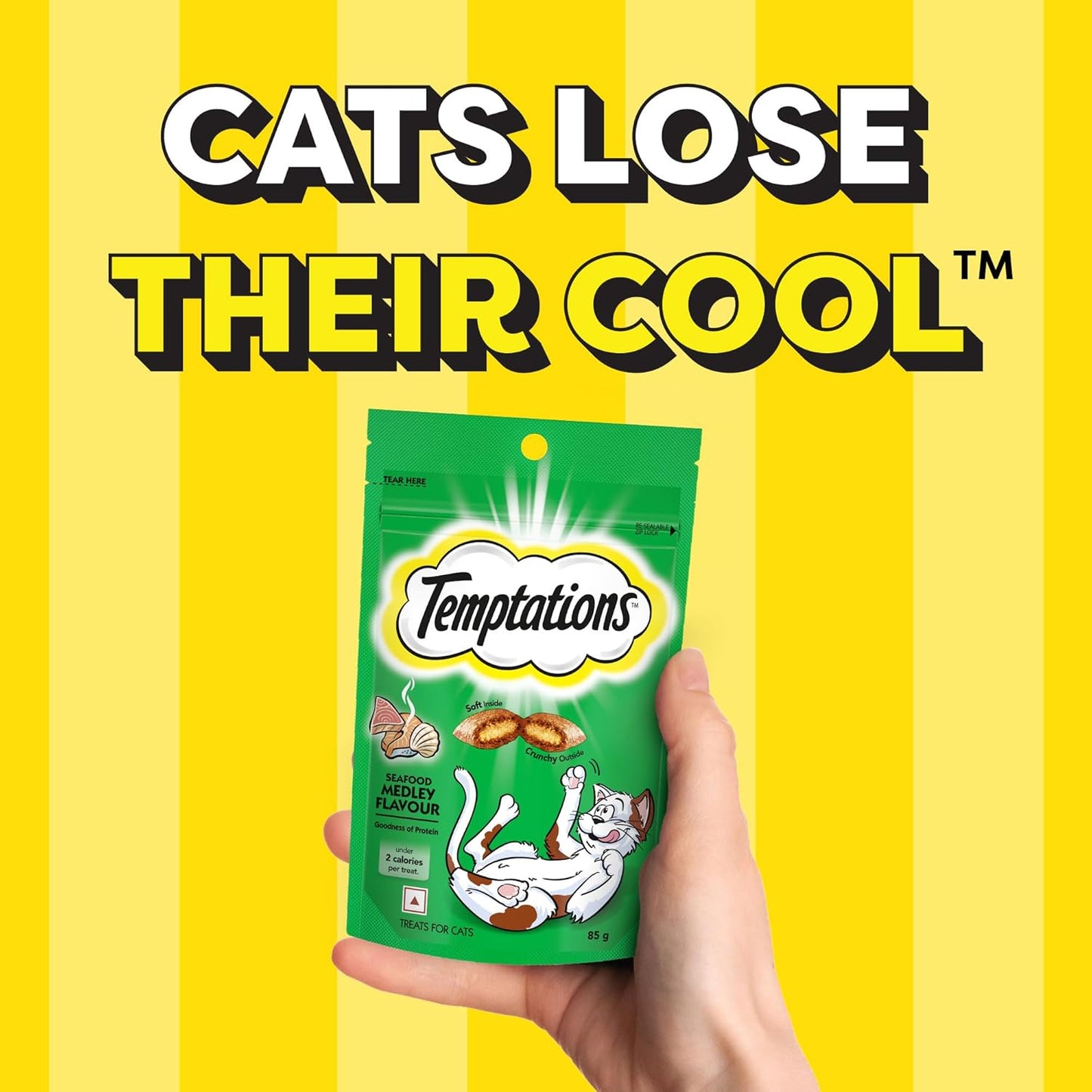 Temptations Crunchy Cat Treats, Seafood Medley Flavour, 85 g, Goodness of Protein, Vitamins & Minerals, Soft Inside Crunchy Outside