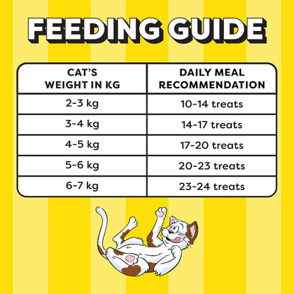 Temptations Crunchy Cat Treats, Seafood Medley Flavour, 85 g, Goodness of Protein, Vitamins & Minerals, Soft Inside Crunchy Outside