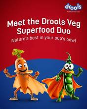 Drools All Life Stages 100% Vegetable Dry Dog Food 500 gram